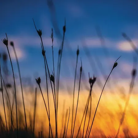 Stunning In With Sauna * Privlaka